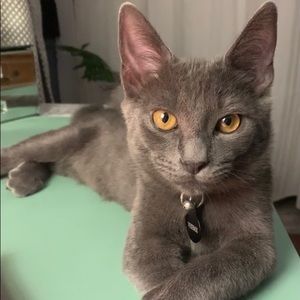 Meet your Posher, Catherine